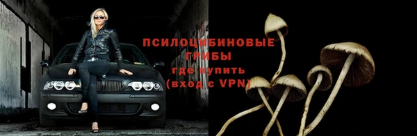 молекула духа Армянск