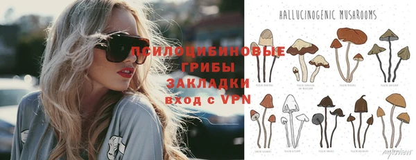 тгк Аркадак