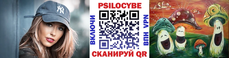 MEGA ссылка  Туринск  Псилоцибиновые грибы Psilocybine cubensis 