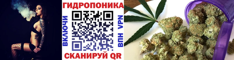 Шишки марихуана планчик  Туринск 